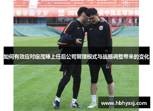 如何有效应对宿茂臻上任后公司管理模式与战略调整带来的变化